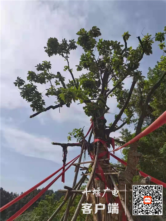 QQ图片20210603164226_副本