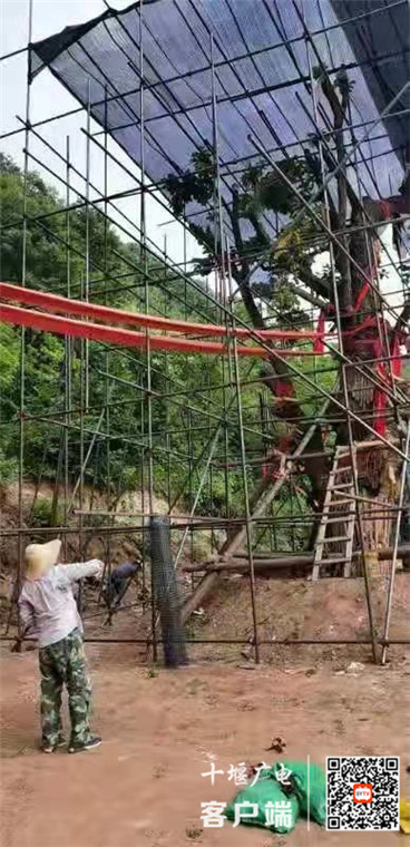 QQ图片20210603164236