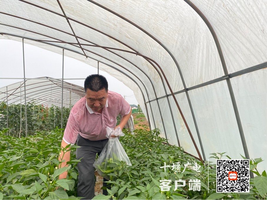 图片7_副本