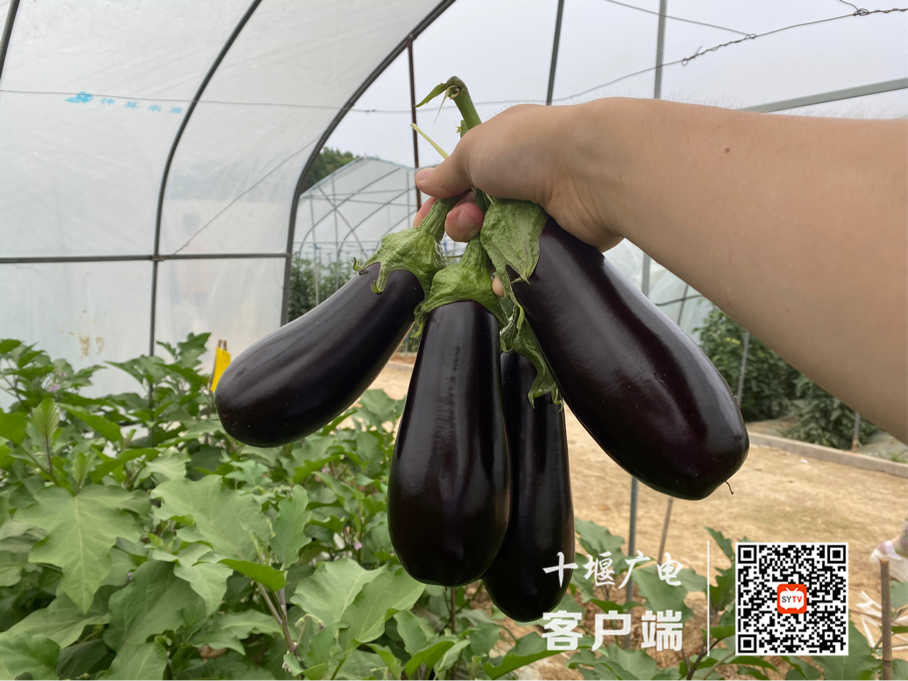 图片8_副本