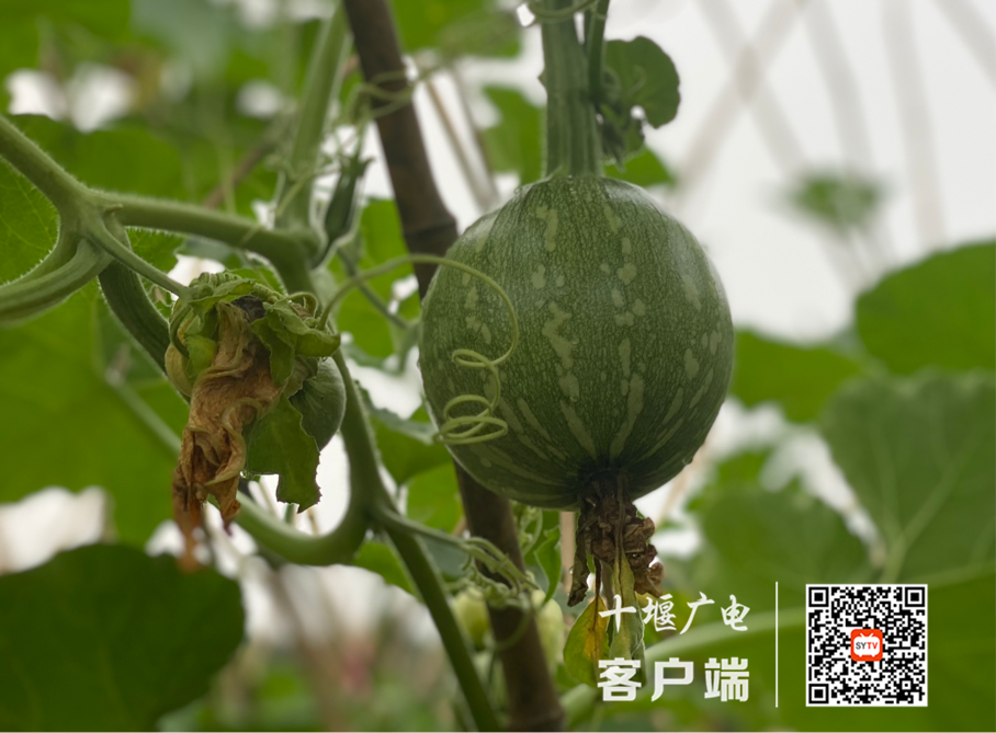 图片9_副本