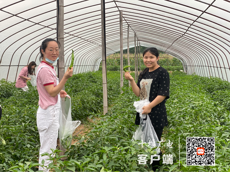 图片10_副本