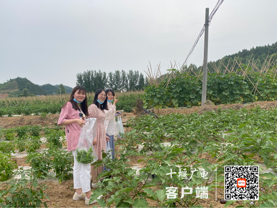 图片11_副本