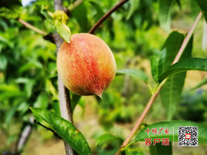 微信图片_20210611132128