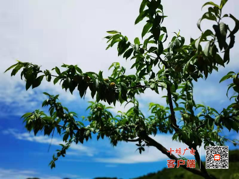 微信图片_20210611132130