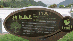 微信图片_20210611204123