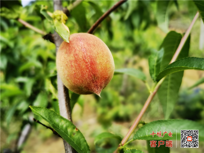 微信图片_20210617093659_副本