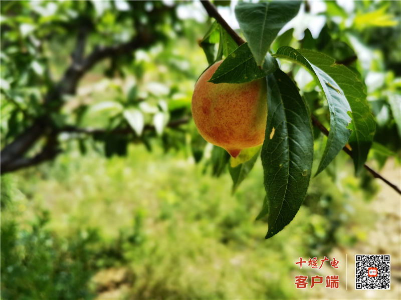 微信图片_20210617093703_副本