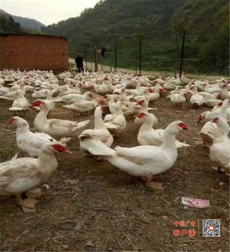 微信图片_20210618114517