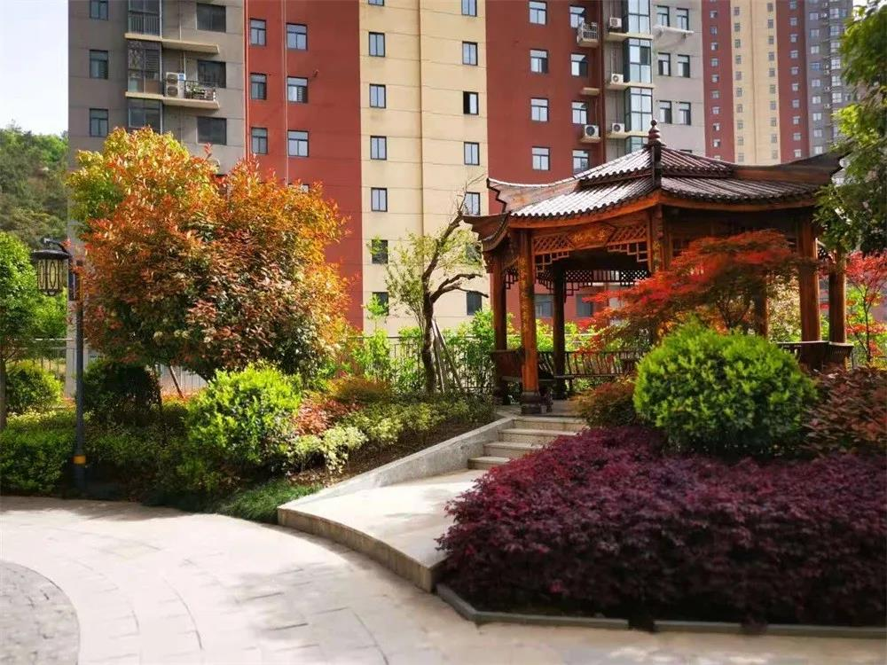 图片6
