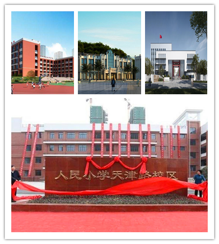 图片11