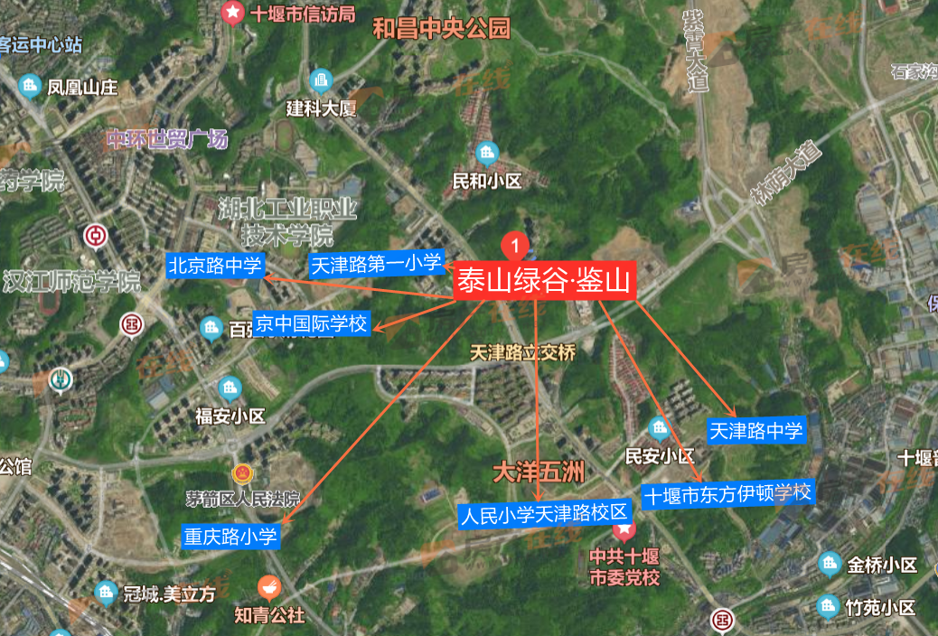 图片15
