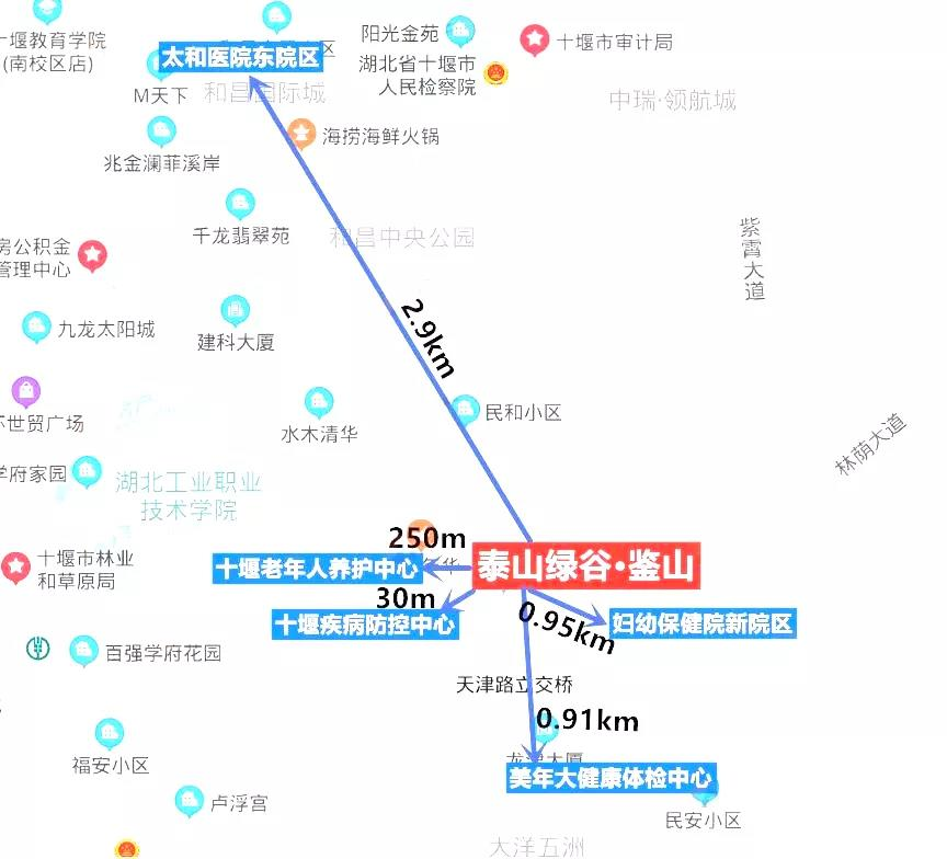 图片22