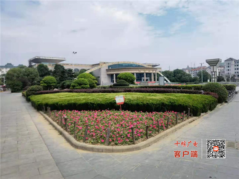 图片4_副本7