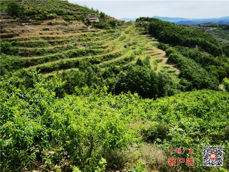 微信图片_20210617093724_副本