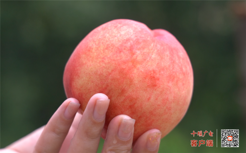 微信图片_20210625163658_副本
