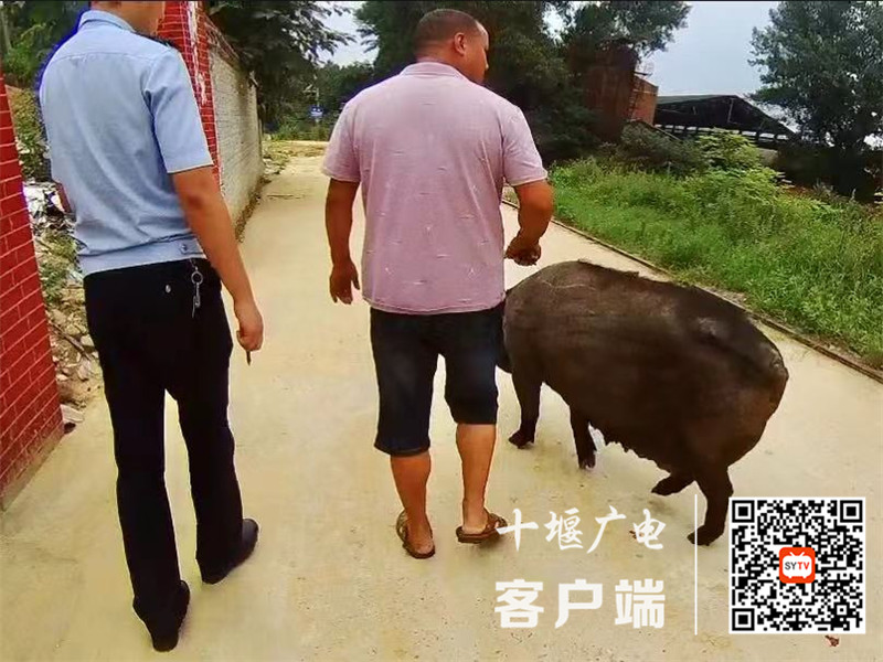 QQ图片20210707164313_副本_副本