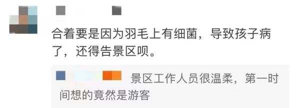 640.webp (3)
