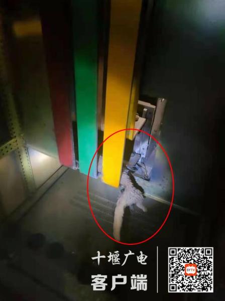 360截图20210712200514904
