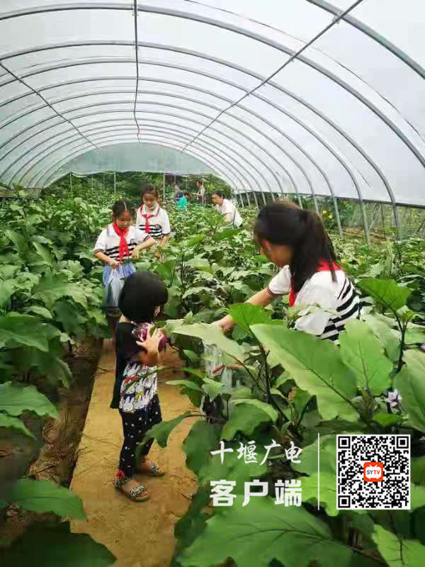 微信图片_20210713130100_副本