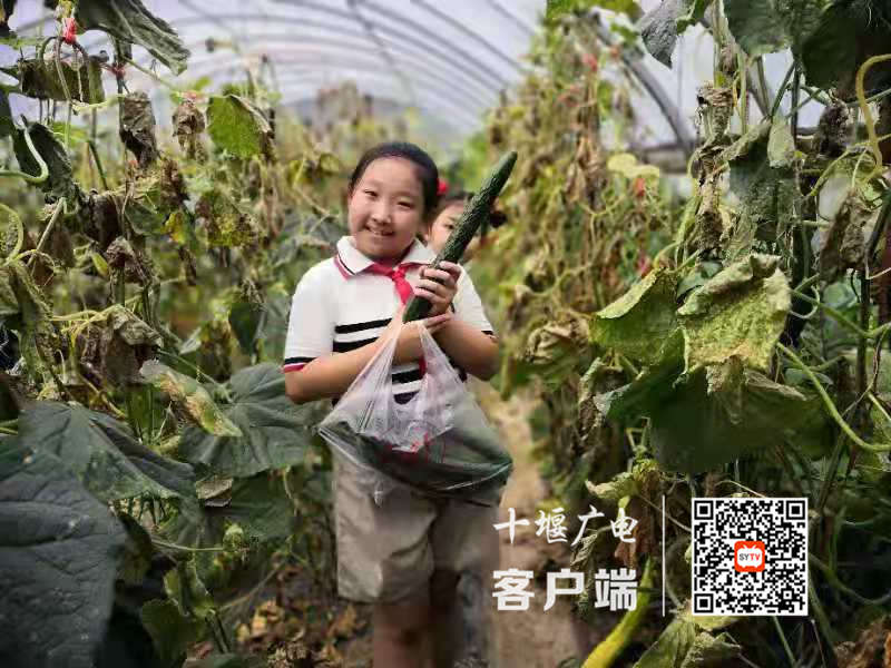 微信图片_20210713130110_副本