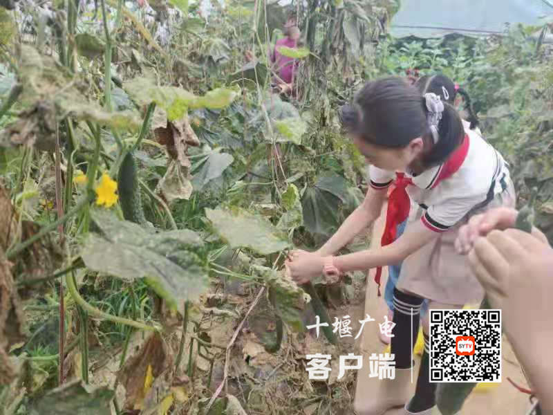 微信图片_20210713130106_副本