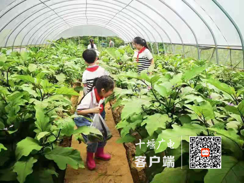 微信图片_20210713130114_副本