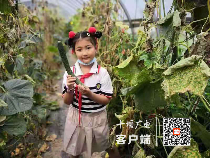 微信图片_20210713130117_副本