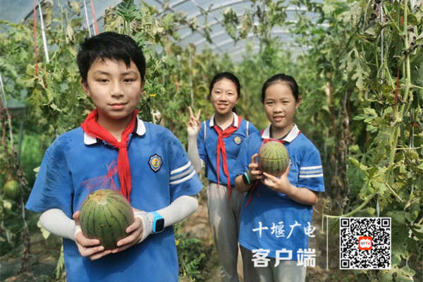 微信图片_20210715175541_副本