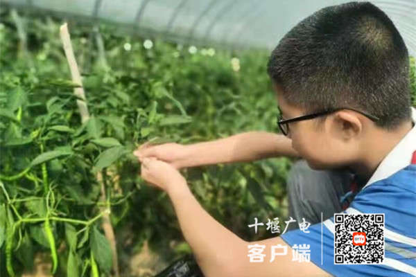 微信图片_20210715175548_副本