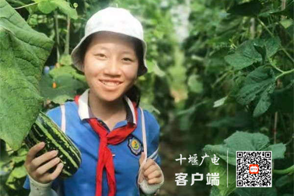 微信图片_20210715175552_副本