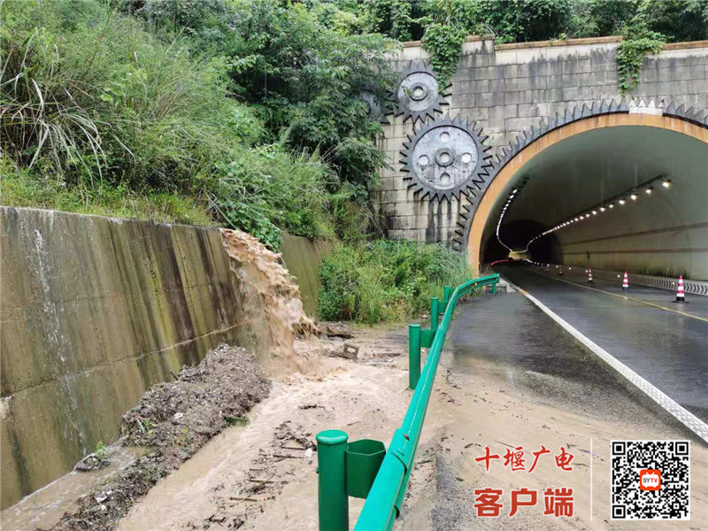 QQ图片20210724114314_副本