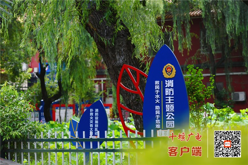 QQ图片20210729103253_副本