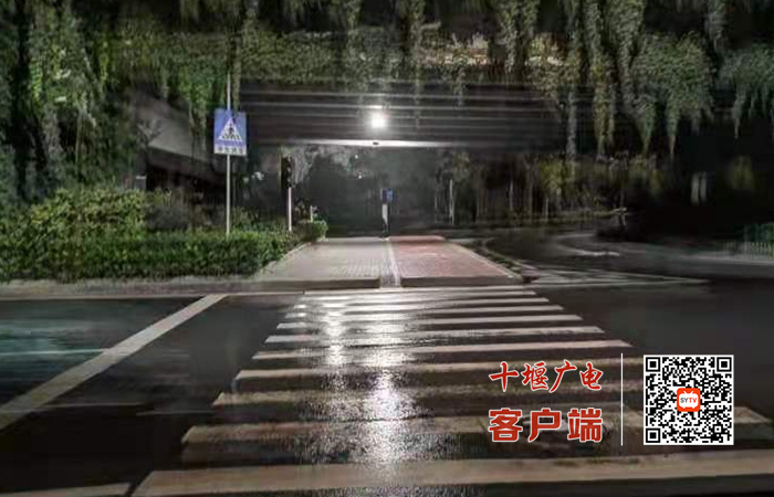 24_副本_副本