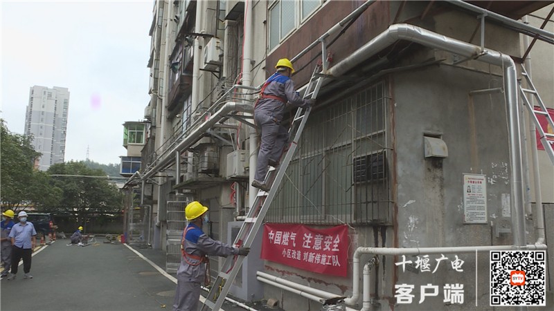 Still1201_00044_副本