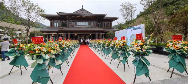 图片12