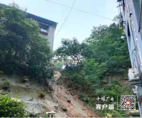 QQ截图20210813210949