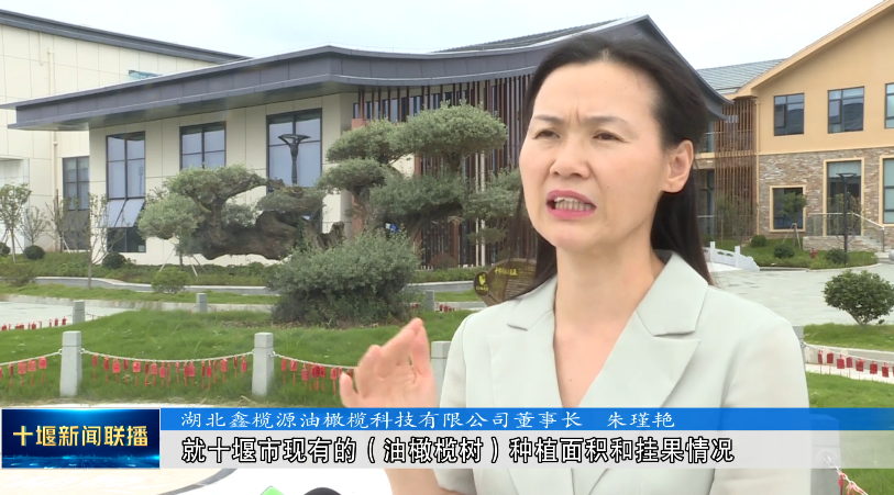 QQ图片20210826200227
