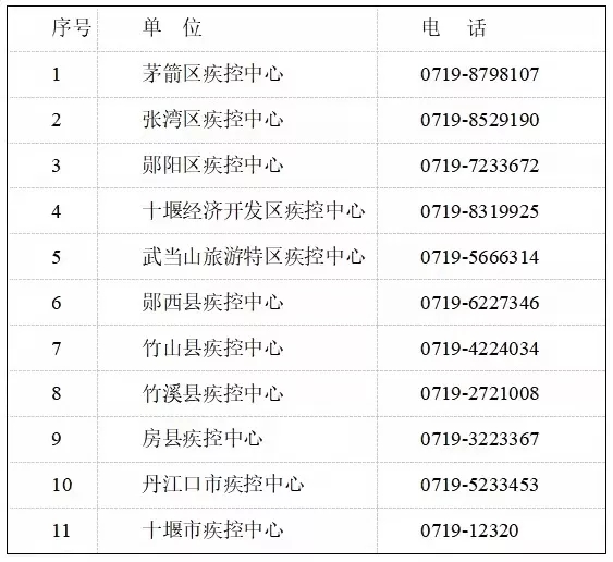 10.webp