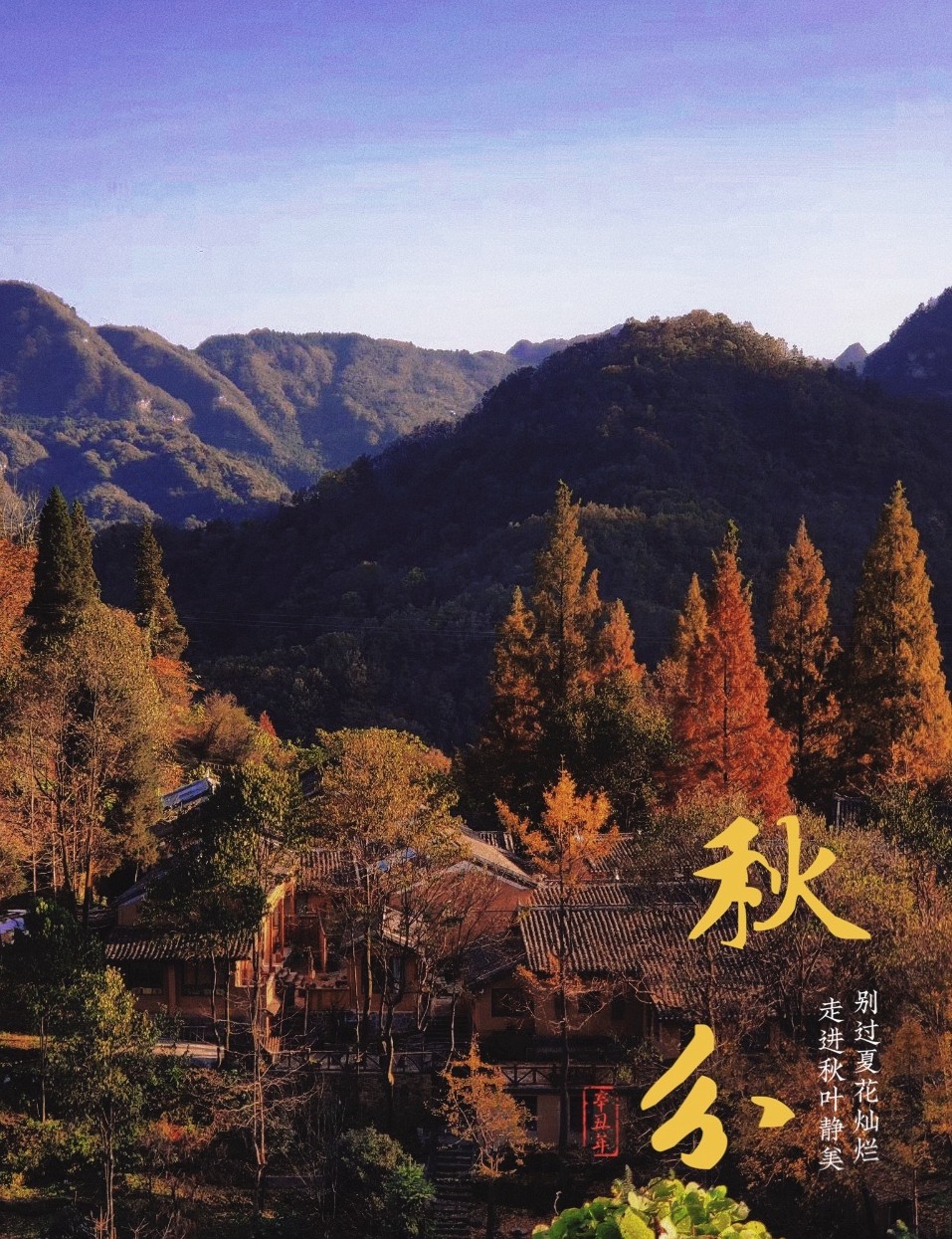微信图片_20210923134858_副本