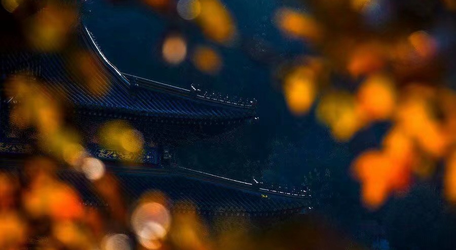 微信图片_20210923134856_副本