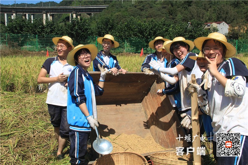31_副本