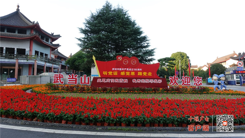 图片9