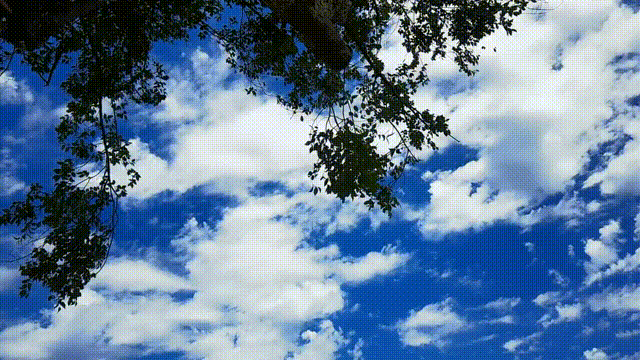 郧阳区 00_00_01-00_00_03