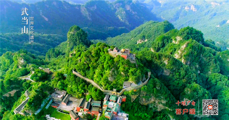 图片14_副本