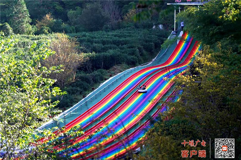 微信图片_20211001193218