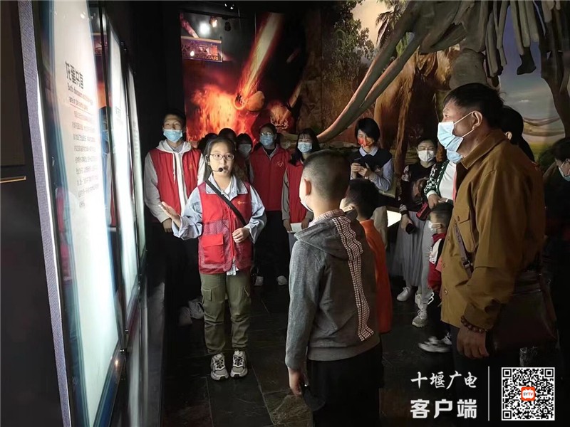 QQ图片20211015154717_副本_副本