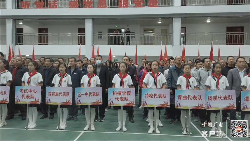 3.代表队