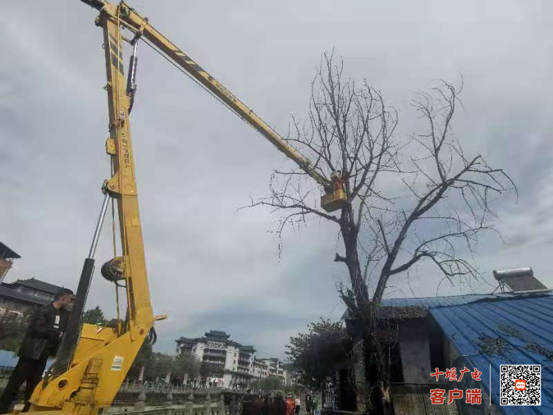 微信图片_20211021151025_副本