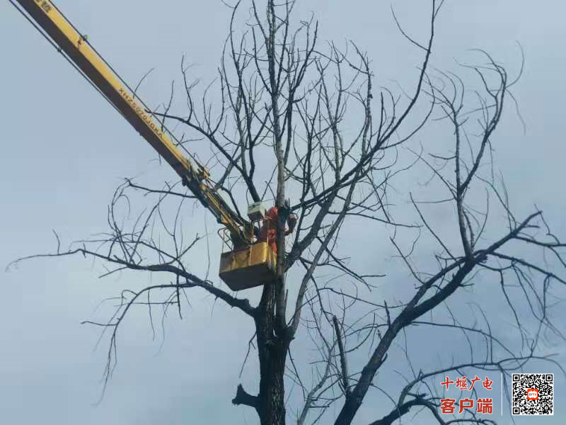 微信图片_20211021151034_副本